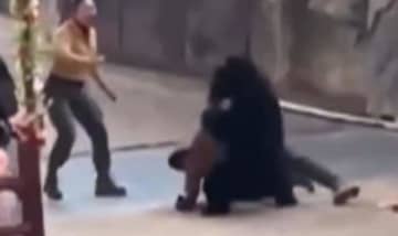「噛もうとしている！」クマが飼育員を突然襲う　“動物ショー”を観客が見守る前で…動物園「飼育員とクマにケガなし」中国