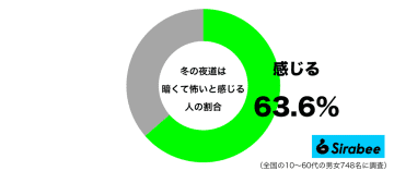 思わず早足になるほど…　約6割が「冬の夜道」で感じる負の感情とは？