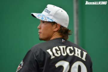 オイシックス新潟、オリックス戦力外の井口の契約合意を発表！