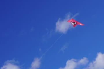 親子で冬空へ凧揚げ体験！豚汁ふるまいやサイコロチャレンジ、20畳敷大凧揚げイベントも！「新春凧揚げ大会」開催【1月11日/東近江市】