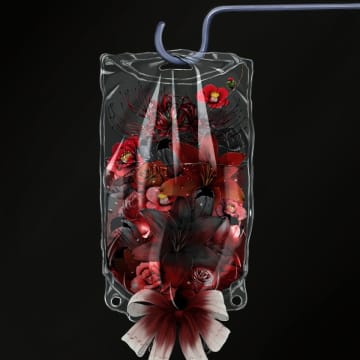 S.I.の新たな冬のレゲトンサウンド『モルヒネ』、12月リリース！