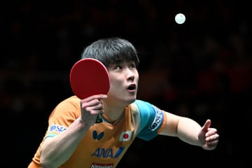 非礼浴びた張本智和の言葉は「深慮すべき」　中国メディアが脚光「試合以外の出来事映し出した」