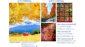 応募1万件超から4作品、東武トップツアーズがインスタ「秋のフォトコンテスト2025」の結果発表