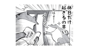 小学生男子の「大丈夫」は大丈夫じゃない!! すぐバレる嘘をつくんじゃありません!【カエル母さん #2】