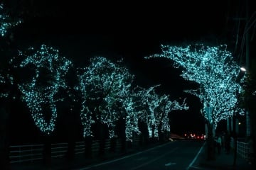 「ウインターイルミネーションこもの」点灯式を開催