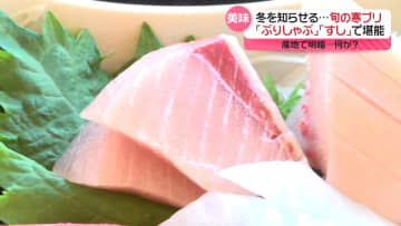 今が旬の「寒ブリ」産地で明暗なぜ？　能登で豊漁も…富山・氷見で不漁に