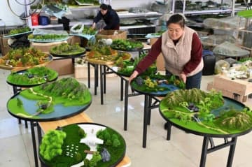 ジオラマが現地の農村振興の原動力に―河北省