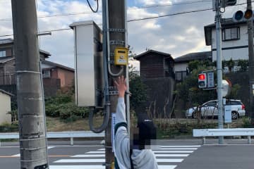 歩行者が絶対押せない信号ボタン、予想外すぎる高さに目を疑う　設置経緯を県警に聞いた