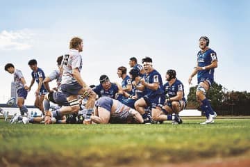 清水建設江東ブルーシャークス/創立50周年、1部昇格を/攻めのラグビーで勝利を