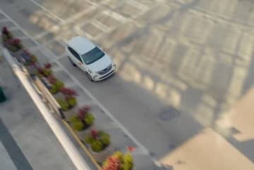 犬を道路に置いて走り去る車。心痛む映像に、地元住民から救いの手→新しい里親が決まる