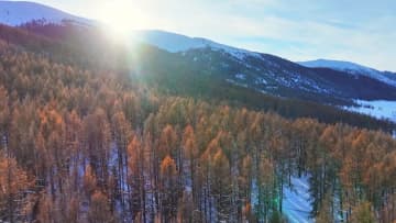 冬の阿禾公路、雪に覆われた自然風景　新疆ウイグル自治区