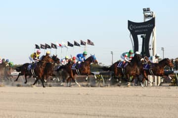 【チャンピオンズC】4歳牝馬ダブルハートボンドが制覇