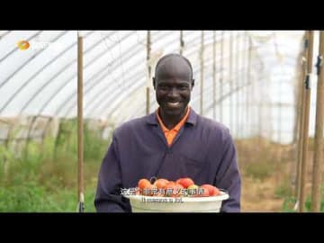 Zoomlionの農業機械、ケニアの農地で存在感を拡大