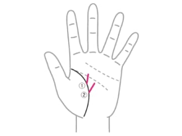 普段から想い描いている幸せが突然訪れたりする『開運線』とは！？【手相の教科書】