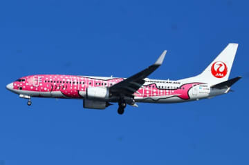 日本トランスオーシャン航空、2月に客室乗務員職向けオープンカンパニーを開催