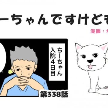 ちーちゃんですけどもっ【第338話】「ちーちゃんが退院したわけ」