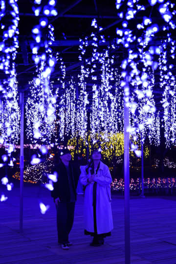 光と香りのイルミ、大藤棚を再現　栃木「あしかがフラワーパーク」