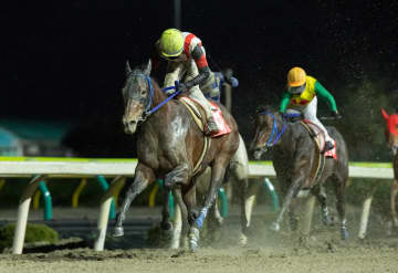 【岩手競馬】佐々木志音騎手が総合40点で栄冠…ゴールデンジョッキーズシリーズを制す