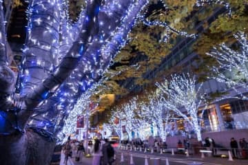 乱視と正視、クリスマスツリーの"見え方の違い"が話題に「キラキラじゃないの!?」「乱視のほうが好き」