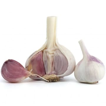 ニンニク抽出マウスウォッシュ、強力な殺菌効果が判明