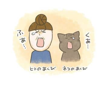 癒しの猫あくび動画、映っていたのは“尊い口”と“飼い主の黒歴史”？【連載】交通事故にあった猫を拾いました#236