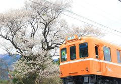 【養老鉄道】受験生応援 無料乗車キャンペーン　～高校を受験する受験生を応援します～