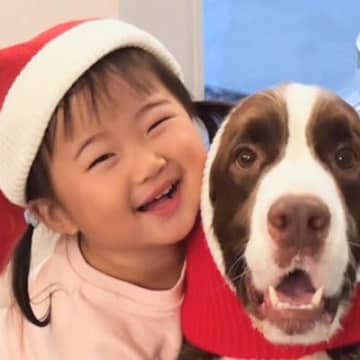クリスマスが待ちきれない女の子と大型犬…あまりにも愛おしい『サンタさんごっこ』を始める光景が話題「最高に癒される」「毎日見たい」と反響