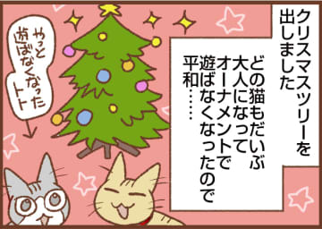 【吉川さん家の猫事情】#121話 平和なクリスマスと思いきや…