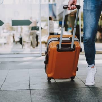 犬を飼うと『できなくなること』9選　迎える前に知っておくべきデメリットや心構えまで