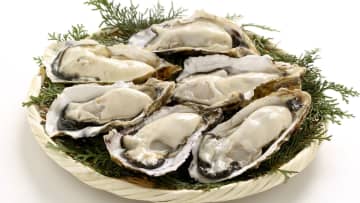 カキ大量死…養殖業者の資金繰りなど支援へ　政府が対策パッケージを公表