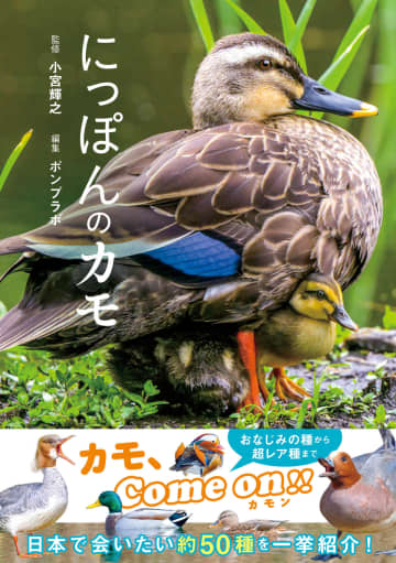 実は奥が深い「カモの世界」　新刊『にっぽんのカモ』で元上野動物園長が語る“身近な鳥”の知られざる生態