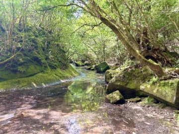 1日1分からOK！「運」を上げるための4つの習慣