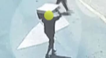 巨匠「マティス」の版画など13点盗んだ2人組　絵画を頭の上に乗せて逃走…ゴミ山近くに絵画を一度放置してから盗み出す姿も　ブラジル