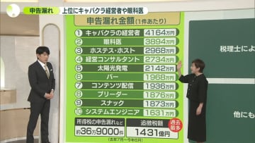 【解説】申告漏れ…上位にキャバクラ経営者や眼科医