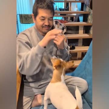 耳の聞こえない男性が『手話で犬とコミュニケーションをとった』結果…言葉が無くても『心が通じ合っている光景』に絶賛「愛感じる…」「すごい」