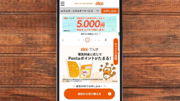 新電力は不安？ 実は利用者の約半数が「特に不安なし」 auでんきが人気トップ