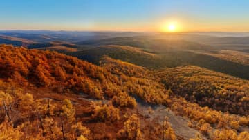 中国の森林率25％超す