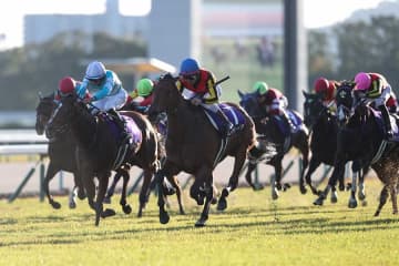 有馬記念の発表に衝撃「多くね？」「凄すぎる」　685万殺到「95位に号泣してる」の声も