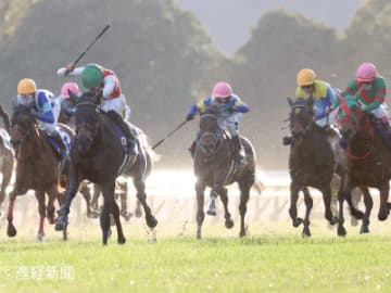 【阪神ジュベナイルフィリーズ】5戦以上は即消して問題ない！キャリアから見る攻略POINT