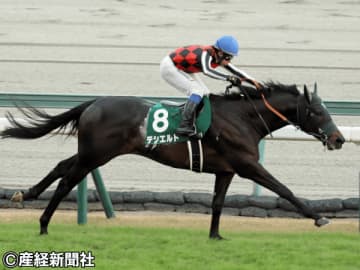 【中日新聞杯】前走ＧⅡ組に注目！ 過去８年の傾向から見るステップレース