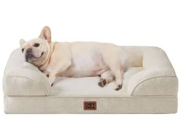 冬用あったか〈ペット用品〉を「Amazonタイムセール」でそろえよう！【最大38％OFF】