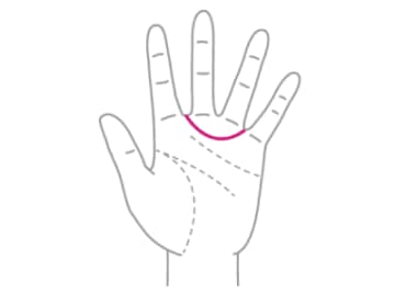 愛情に恵まれ、美的センスも抜群の人が持つ『金星帯』とは！？【手相の教科書】