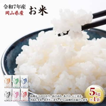 【ふるさと納税おすすめ】安いけどおいしい、あきたこまち！岡山県玉野市の「令和7年産 お米 5kg×1袋」（40代・女性）