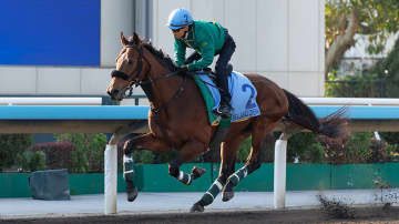 【香港国際競走】ベラジオオペラは上村洋行調教師を背にキャンター調整　日本調教馬3頭が馬場入り