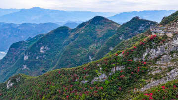 中国各地で高まり続ける「紅葉経済」