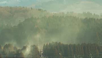 来春のスギ花粉は平年の1.4倍、富山県森林研究所が予測　例年よりやや多くなる見込み