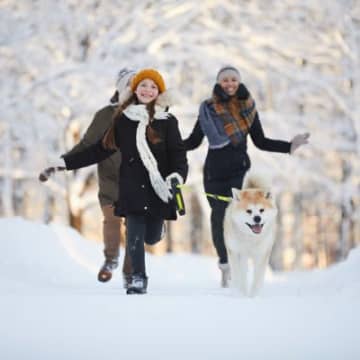 犬の『冬太り』を防ぐ方法4つ　あなたの愛犬は大丈夫？肥満がもたらす健康被害まで