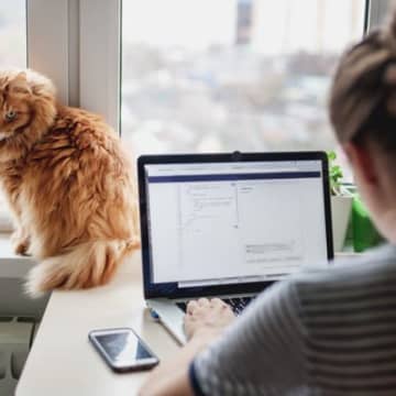 猫がいる暮らしでの『在宅ワーク』注意すべきこと3つ　実は愛猫にストレスを与えているかも？