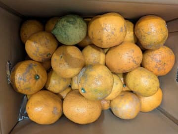 【お天気気象転結】地震への備えを