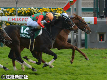 【中日新聞杯】軸イチオシはリステッド組！ 過去８年のデータから考える３連単を的中させる戦術とは!?